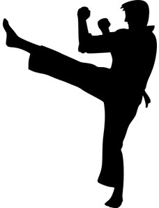 Gravon Samolepka - Karate boj