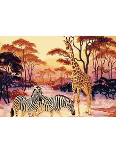 Amparo Miranda Malování podle čísel Žirafa a zebry