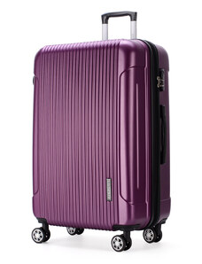 AIRPLUS PARIS Cestovní kufr Detroit L Fialová
