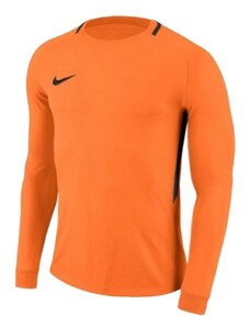 Goalkeeper jersey Nike Dry Park III LS M 894509-803