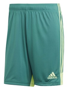 Pánské šortky M Tastigo 19 DP3251 - Adidas