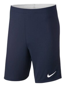 Nike Dry Academy 18 M 893691-451 shorts
