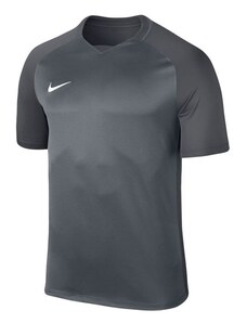 Dry Trophy III JR 881484-065 - Nike