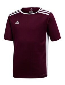 Dětské tričko Entrada 18 Jr CE9564 - Adidas