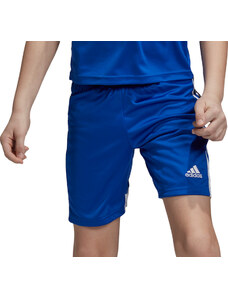 Šortky adidas Tastigo 19 Shorts Y dp3686