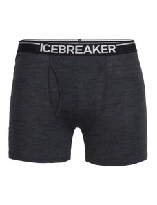 Icebreaker Mens Anatomica Boxers w Fly