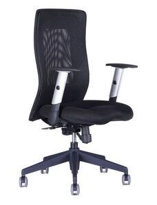 Ergonomická kancelářská židle OfficePro Calypso Grand