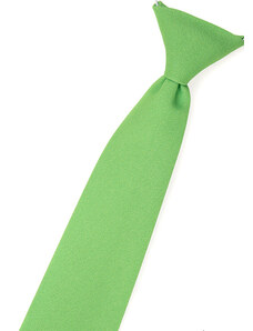 Chlapecká kravata Avantgard - zelená 558-9829-0