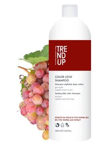 Trend up COLOR LOCK Šampon pro barvené vlasy, antioxidační s kyselým pH