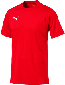 Triko Puma LIGA SS TEE 65530801