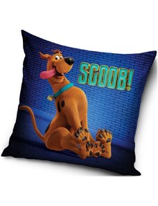 Carbotex Polštář SCOOB! - motiv Scooby Doo - 40 x 40 cm