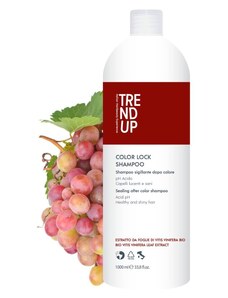Edelstein Trend Up Color Lock šampón pro barvené vlasy 1000 ml