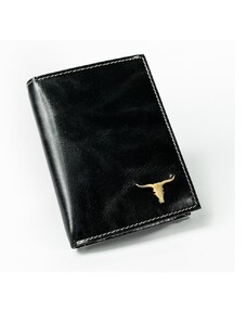 Pánská černá kožená peněženka Wild RM-03
