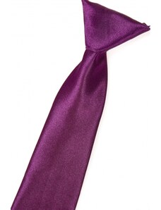 Chlapecká kravata Aubergine Avantgard 558-738