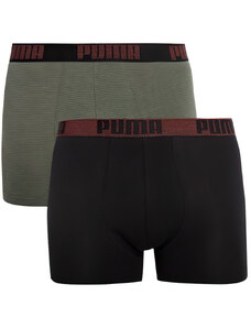 Pánské boxerky Puma Birdfeet Stripe Boxer 2-Pack Green
