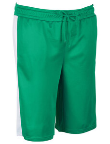 Identic 308 pánské šortky zelené 4XL