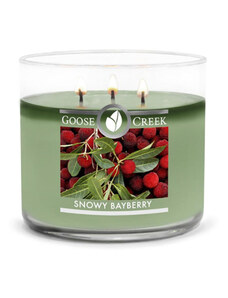 Goose Creek Candle svíčka Snowy Bayberry, 411 g