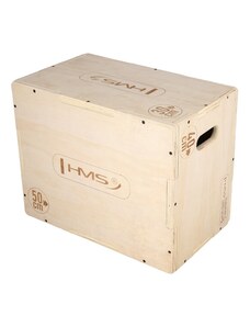 Plyo Box HMS DSC04