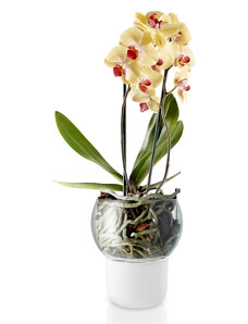 Skleněný samozavlažovací květináč na orchideje O 15 cm Eva Solo