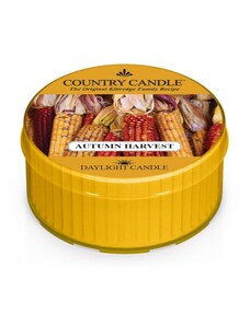 Country Candle Vonná Svíčka Autumn Harvest, 35 g