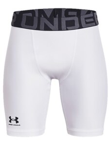 Under Armour Šortky Under UA HG Armour Shorts 1361737-100