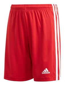 Šortky pro mládež Squadra 21 GN5761 - Adidas