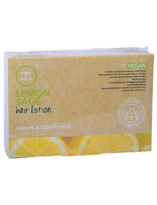 Paul Mitchell Tea Tree Lemon Sage Hair Lotion Keravis and Lemon Sage 12x6ml