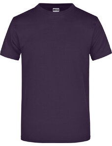 James & Nicholson Pánské tričko s krátkým rukávem James & Nicholson (JN002) Lilková S