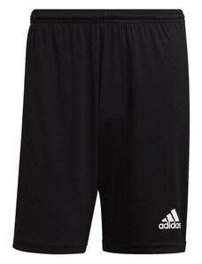 Pánské kraťasy Squadra 21 Short M GN5776 - Adidas