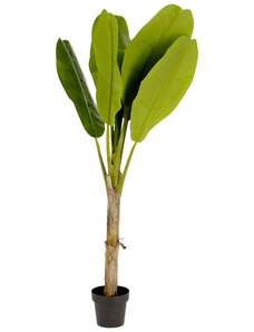 Umělá květina Kave Home Banana 160 cm