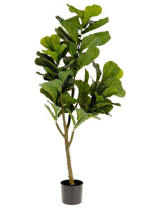 Umělá květina Kave Home Ficus 150 cm