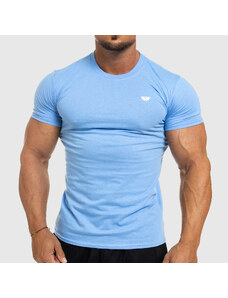 Pánské fitness tričko Iron Aesthetics Standard, modré