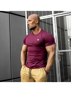 Pánské fitness tričko Iron Aesthetics Standard, bordové