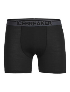 Icebreaker ANATOMICA BOXERS