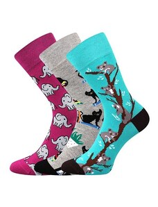 WOODOO barevné ponožky Lonka - KOALY