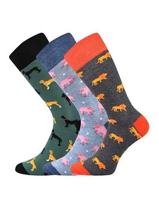 WOODOO barevné ponožky Lonka - PSI