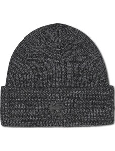 Čepice Etnies Hamilton Beanie černá