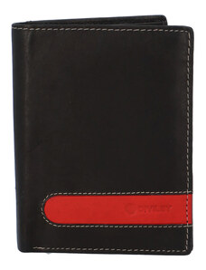 Pánská kožená peněženka černá - Diviley D1900 černá