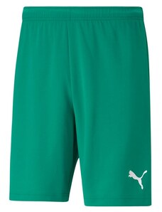 Pánské kraťasy teamRISE Short M 704942 05 - Puma