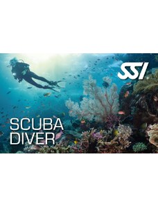 Scuba Diver kurz SSI