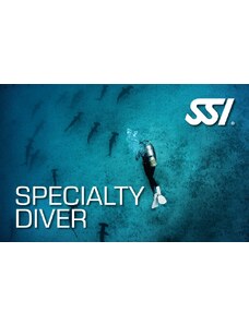 SSI Specialty Diver