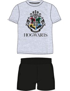 E plus M Pánské pyžamo Harry Potter - Hogwarts - GLAMI.cz