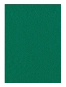A.Weinberger s.r.o. Napron 70x70 cm zelená Vánoční