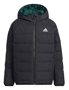 Dětská zimní bunda Frosty H45034 - Adidas