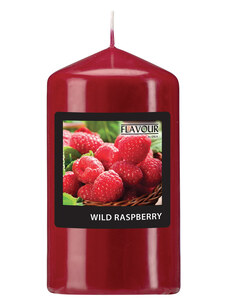 Gala Vonná svíčka válec Wild Raspberry 60 / 110