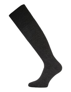 Lasting merino ponožky WRL šedé
