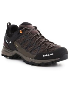 Salewa Pánské boty Mtn Trainer Lite GTX M 61361-7512