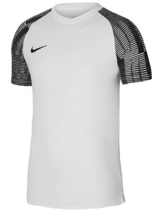 Dres Nike Dri-FIT Academy dh8031-104