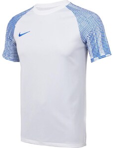 Dres Nike Dri-FIT Academy dh8031-102