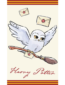 Carbotex Dětský ručníček Harry Potter Sova Hedvika 30x50 cm